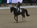 1 Longines Equita Lyon 2024 - CAR_0537 Isabel WERTH www.equitalyon.com (copie)