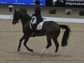 1 Longines Equita Lyon 2024 - CAR_0547 Isabel WERTH www.equitalyon.com (copie)