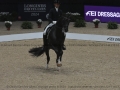 4 Longines Equita Lyon 2024 - CAR_9987 Hans Peter MINDERHOUD www.equitalyon.com (copie)