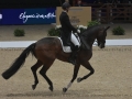 5 Longines Equita Lyon 2024 - CAR_0053 Sönke ROTHENBERGER www.equitalyon.com (copie)