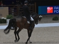 5 Longines Equita Lyon 2024 - CAR_0065 Sönke ROTHENBERGER www.equitalyon.com (copie)