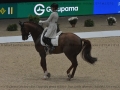 6 Longines Equita Lyon 2024 - CAR_0313 Dinja VAN LIERE www.equitalyon.com (copie)