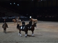 Longines Equita Lyon 2024 - DSC_1879