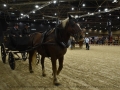 Longines Equita Lyon DSC_2281